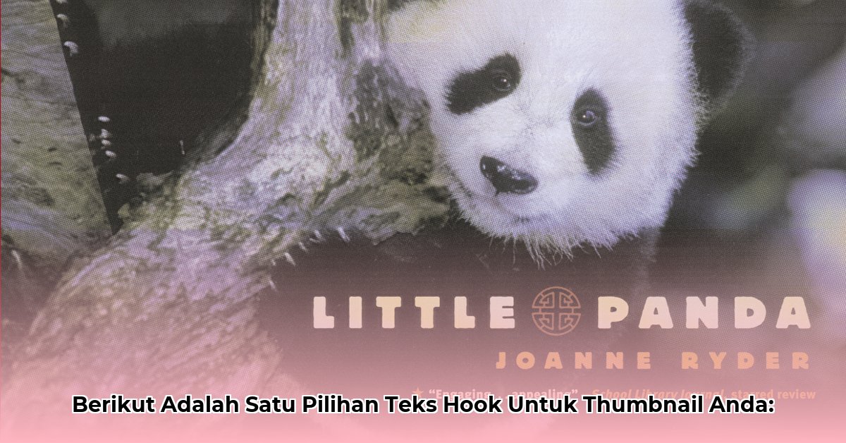 hua-hua-panda-net-worth